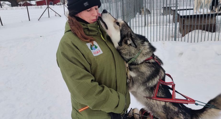 29 38 Lapland 15 29 38 Lapland 15